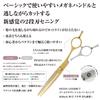 DEEDS GDZ630CT Thinning Gold Titanium X Thinning Scissors with Blades Approximately Thinning Professional Hairdressing Case Included [PF] Scissors,