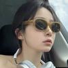 Retro Small Frame Polygon Cat Eyes Women Sunglasses Brand Designer Fashion Cheetah Decoration Ladies Sun Glasses UV400