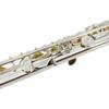 WUQIMUSC C Flute Instrument Durable Easy to Includes Carrying Cleaning and Ideal for Learning 16-Key Closed-Hole - Beginner/Student Flute, Design,