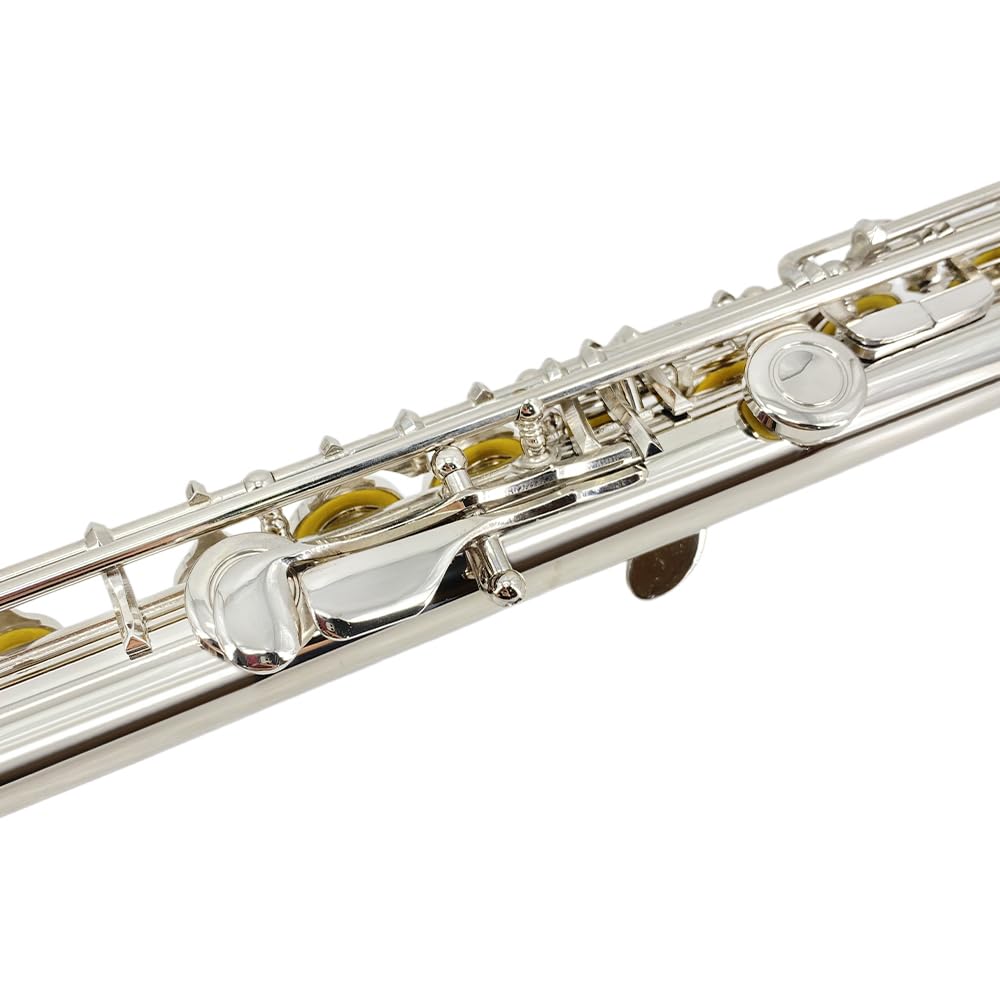 WUQIMUSC C Flute Instrument Durable Easy to Includes Carrying Cleaning and Ideal for Learning 16-Key Closed-Hole - Beginner/Student Flute, Design,