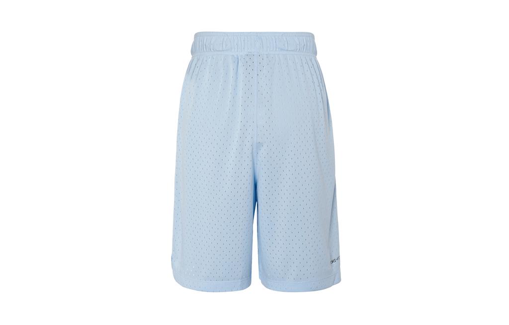 Jordan Casual Shorts Men's Blue DZ4123-425