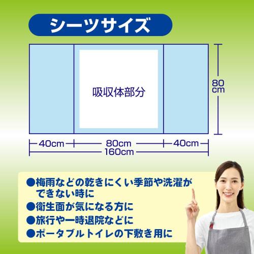 Hakujuji Salva Disposable Care Sheets, 6 Sheets, 80cm X 160cm, Blue