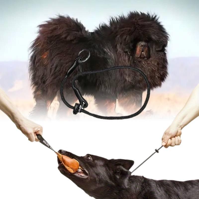 Durable And Comfortable Pet Training Choke Rope For Large Dogs Black Nylon Design