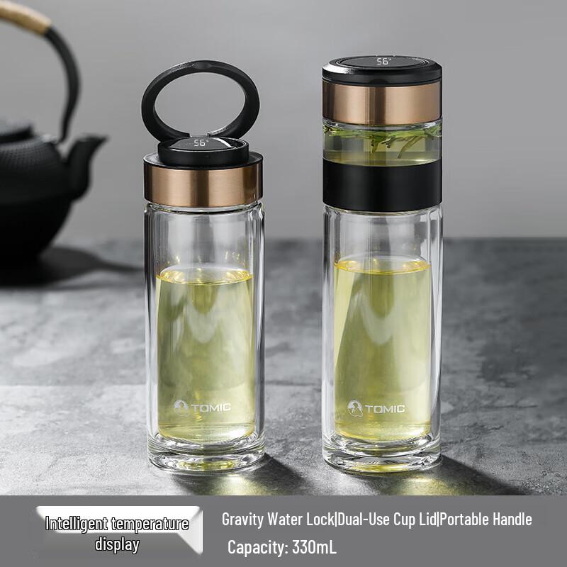Temeike Smart Tea Infuser Double-Wall Glass Bottle