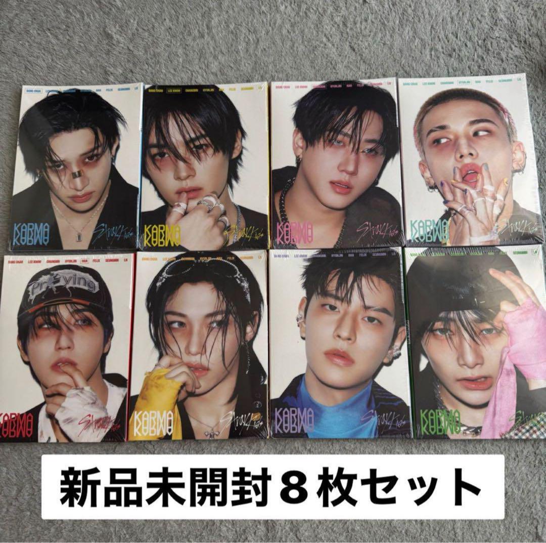 

[USED] stray kids karma album accordion