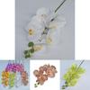 Artificial Phalaenopsis Orchid 3d Printed Realistic Multi Stem For Home Wedding Decor