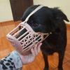 Outdoor Anti-eating Dog Muzzle for Medium Large Dogs Adjustable Pet Mask Golden Resistant Labrador Accessories mascotas Supplies