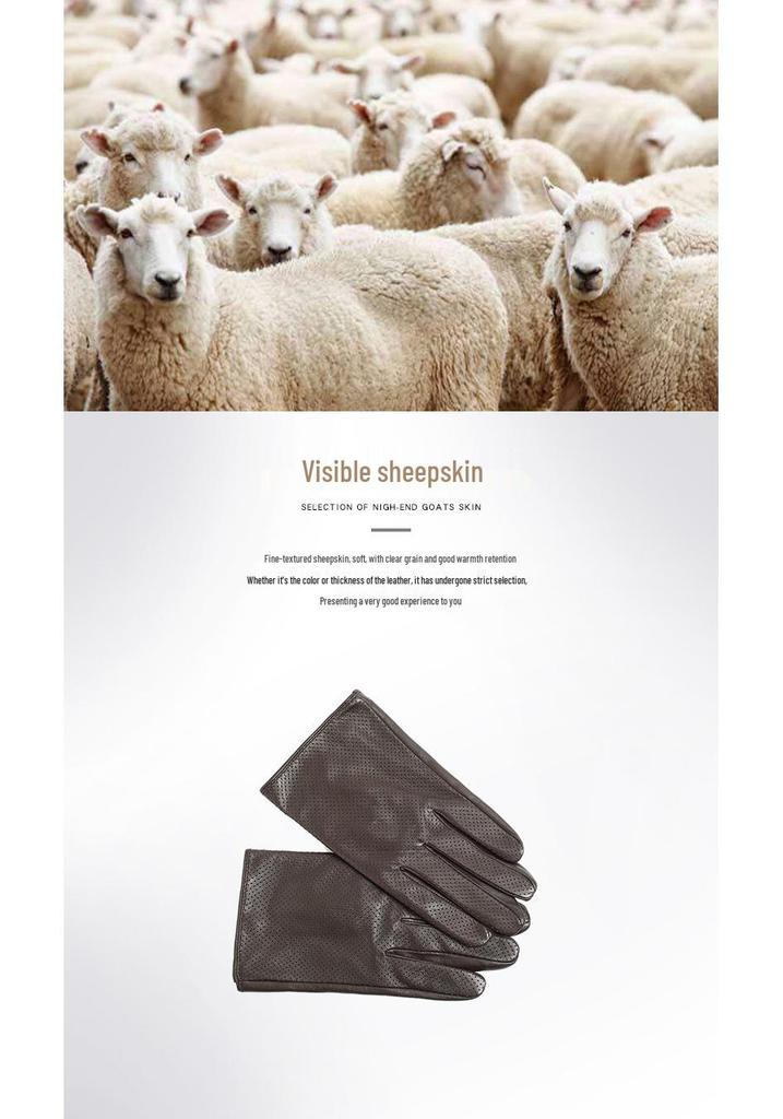 Men's Slim Fit Touchscreen Leather Driving Gloves - Breathable Sheepskin for Spring/Summer.