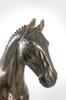 Hanoverian Horse - a Large Statuette with a Horse, a Bust On a Stone Base, a Prestigious Award In the Art-Dog Brand Competition.