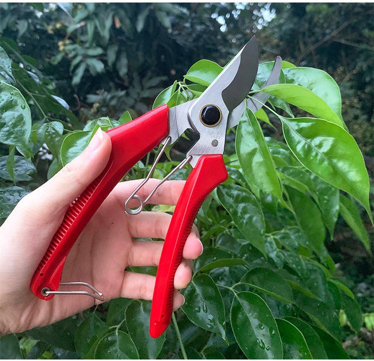 Powerful Bent Handle Garden Pruning Shears for Flowers and Branches