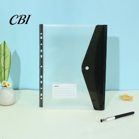 Binder Compatible Folder 11 Hole Clear File for A4 Binders, Colorful Plastic Document with Bag Snap Button & Label Slot, Transparent Project Organizer