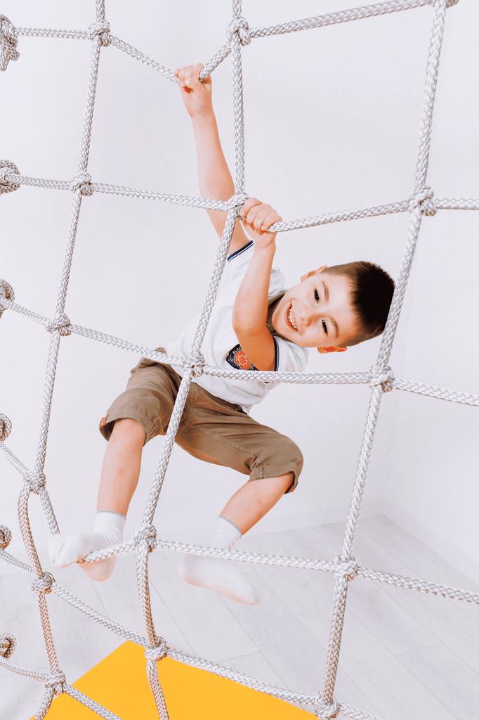 Échelle de gymnastique Pegas - Provenance