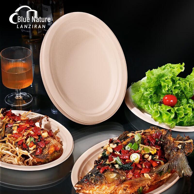 Blue Nature Biodegradable Disposable Fish Plates