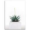 Canvas Print, Young Plant In a Pot
