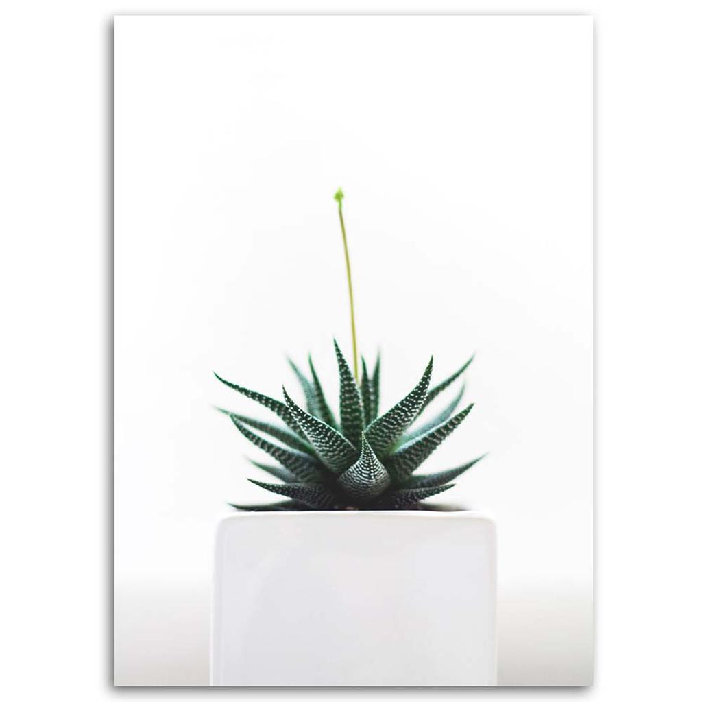 Canvas Print, Young Plant In a Pot