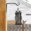 4 Pcs Wall Mounted Straight Plants Hanger Wall Hooks for Bird Feeders Planters