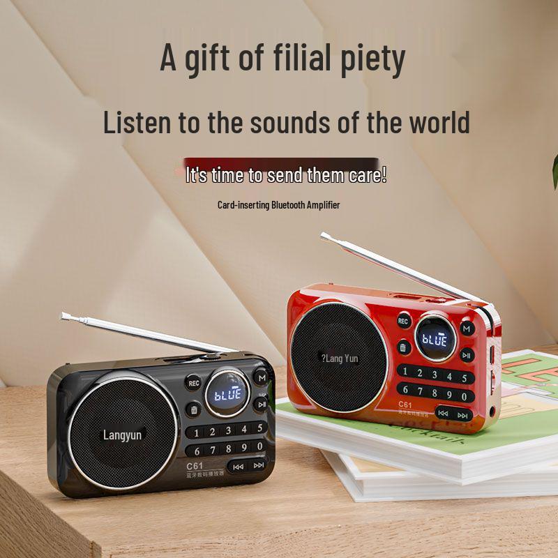 Jinzheng 875 Bluetooth Portable MP3 Player with Card Slot and High Volume for Elderly