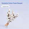 Natural Dried Cotton Flower Branches - 6 or 10 Heads, Preserved Kapok for Home Decoration & Christmas Decor