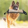 Dog Molar Toy with 2 Handles Tossing Teething Game Toy Reflective Pillow