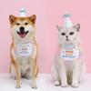 Haustier Katze Hund Geburtstagsparty KK0095