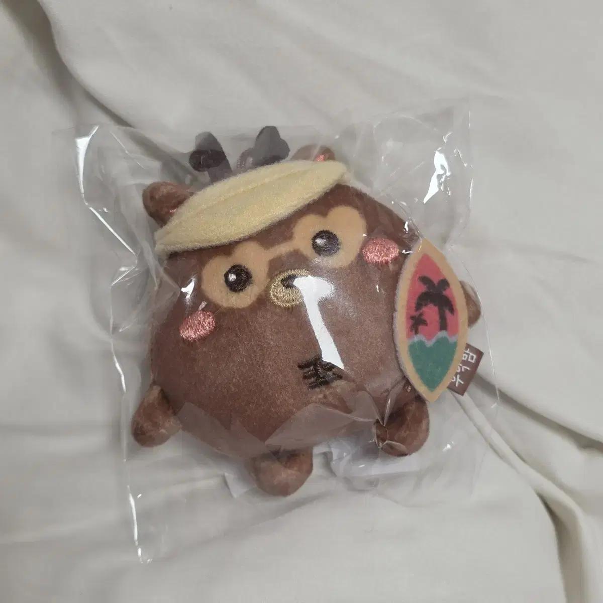 

RIIZE Концерт Md Doll Летние Солнцезащитные очки Torbyeong-i Tonyang-deok Urak Night