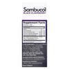 Black Elderberry, Effervescent Tablets + Vitamin C and Zinc, Ages 4 and Up, 15 Effervescent Tablets