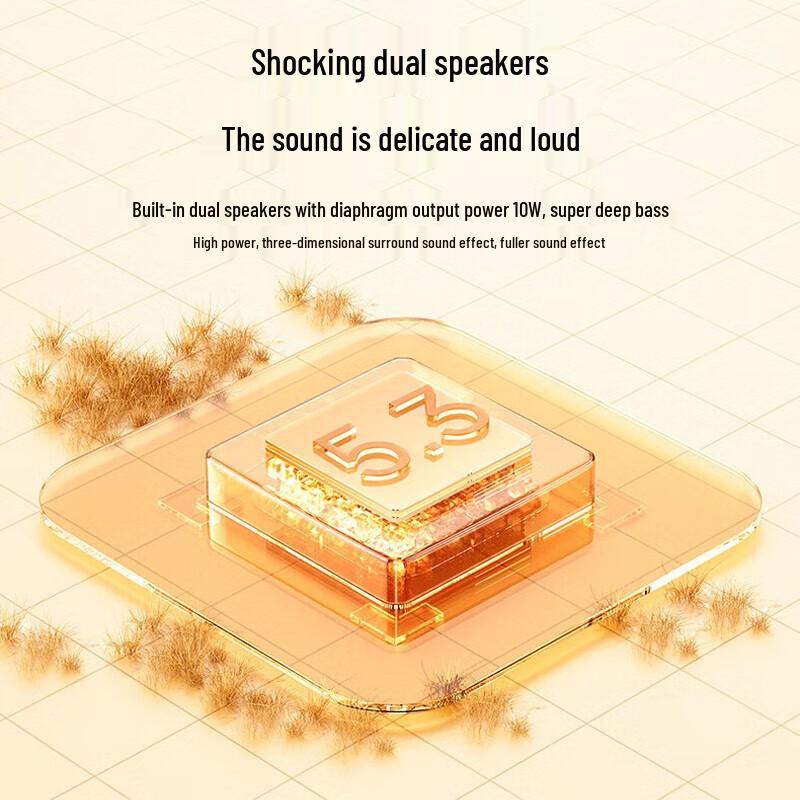 WOPOW AP08 Portable Bluetooth 5.3 Speaker with Microphone