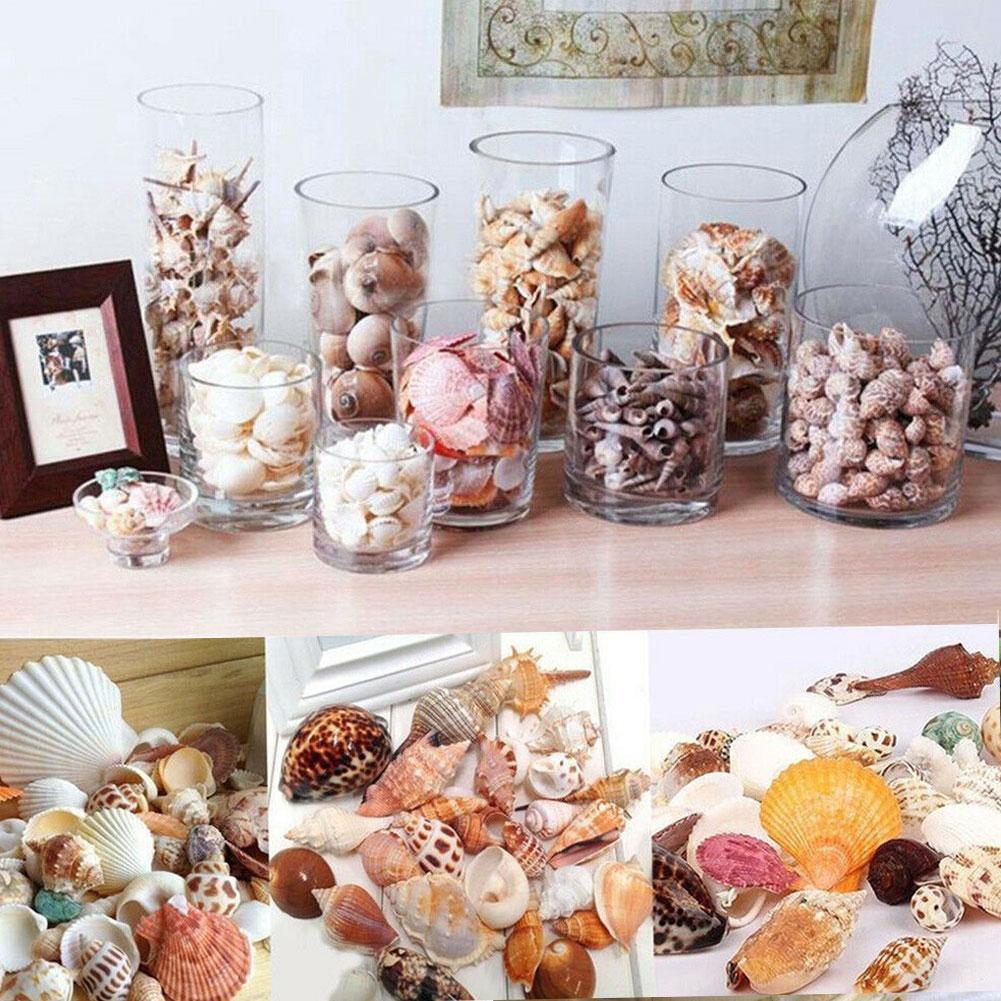 100g/bag Random Mixed Seashells Decoration Natural Beach Conch Shells Crafts Micro-landscape Ornaments Shell Desktop DIY Decor