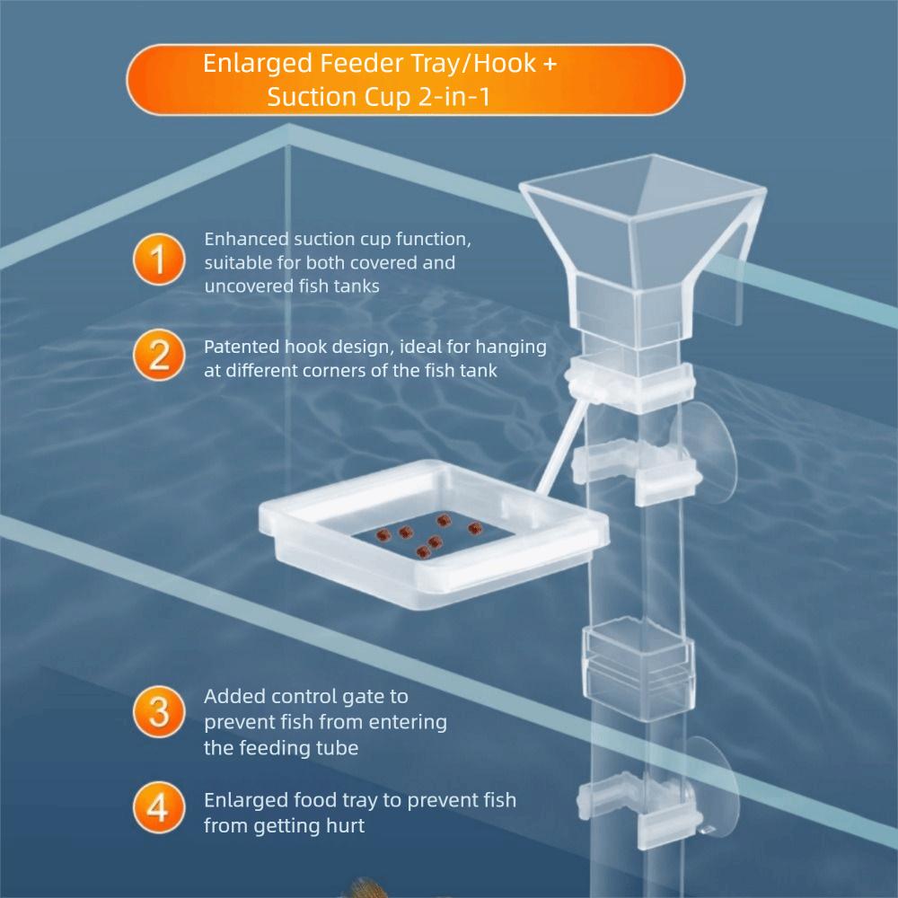 Acrylic Shrimp Feeding Device Wall-mounted Fish Feeding Basin  for Shrimp Fishes Snail