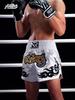 Muay Thai UFC MMA Boxing Shorts: Sanda Summer Training Pants