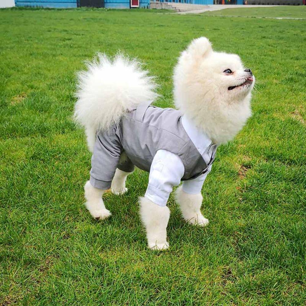 Creative Dog Wedding Suit Soft Puppy Costume Practical Pet Formal Shirt Cosplay