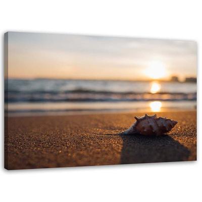 Canvas Print, Shell On the Beach