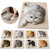 40×60CM Bathroom Carpet Realistic Bedroom Door Rug Cute 3D Cat Floor Mat  Home Decor