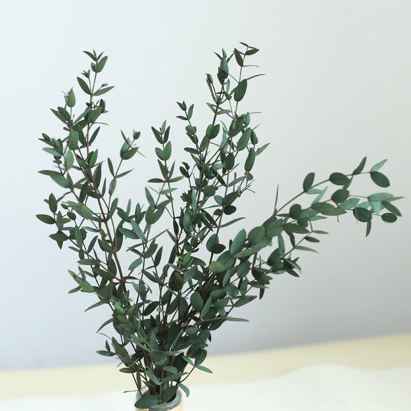 Yunnan Dried & Immortal Flowers Bouquet: Baby's Breath, Roses, Forget-Me-Nots for Home & Homestay Decor