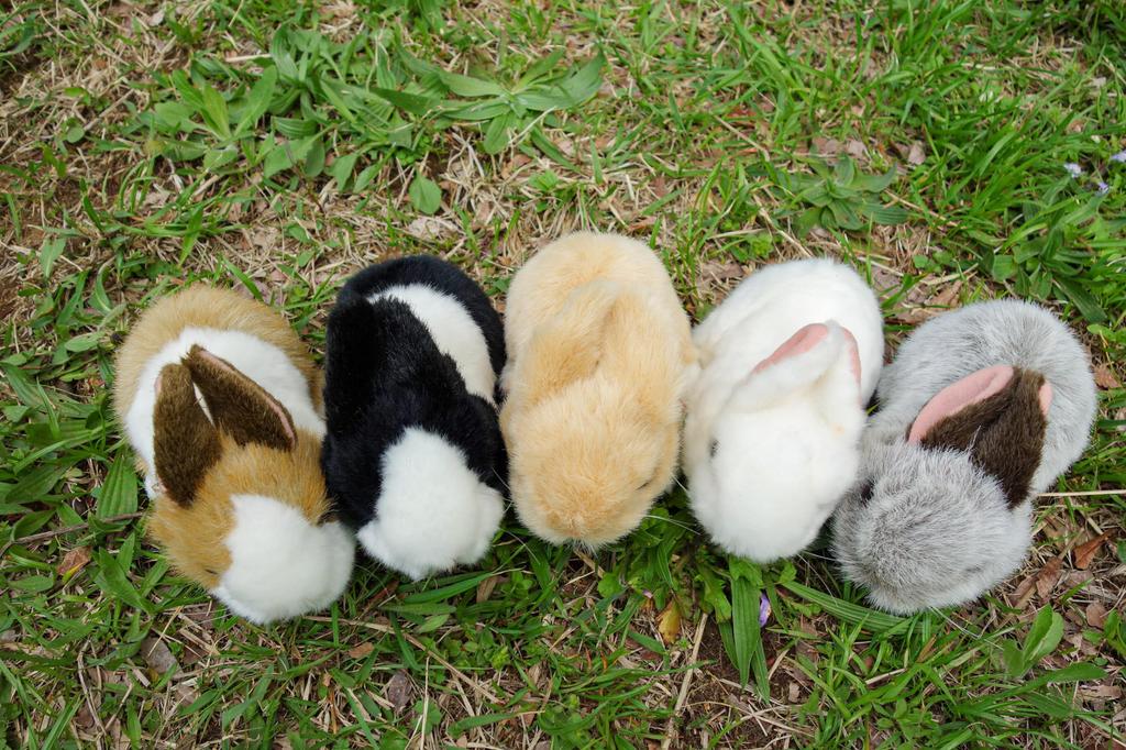 Yoshitoku Land Friends Plush Rabbit White 180497