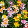 Waterproof Design Solar Garden Lights Solar Powered Stake Lights Solar Powered Lights Artificial Plants Narcissus