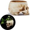 Office Sugar Container For Home Decor Flower Candy Bowl Skull Flower Pot Fake Skull Skull Planter
