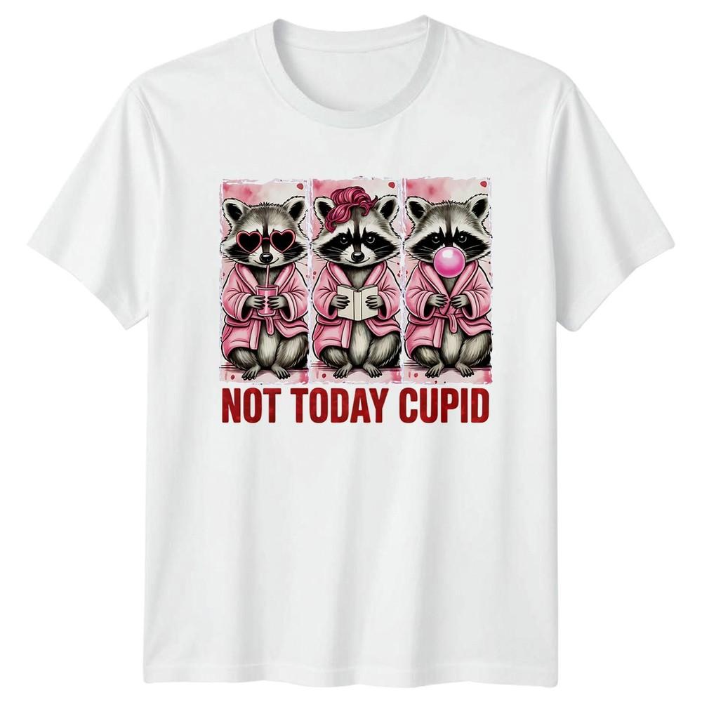 Not Today Cupid Raccoons Valentines Day Unisexs TShirt Unisexs Tee Graphic Top S