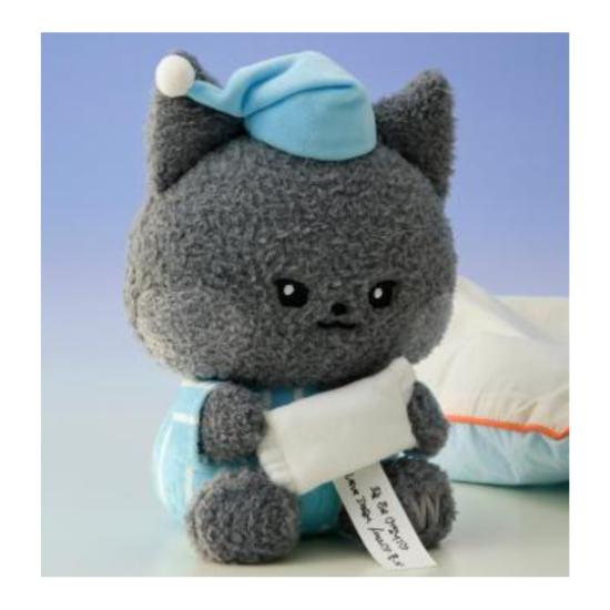 ZEROBASEONE Zeroni Message Medium Doll