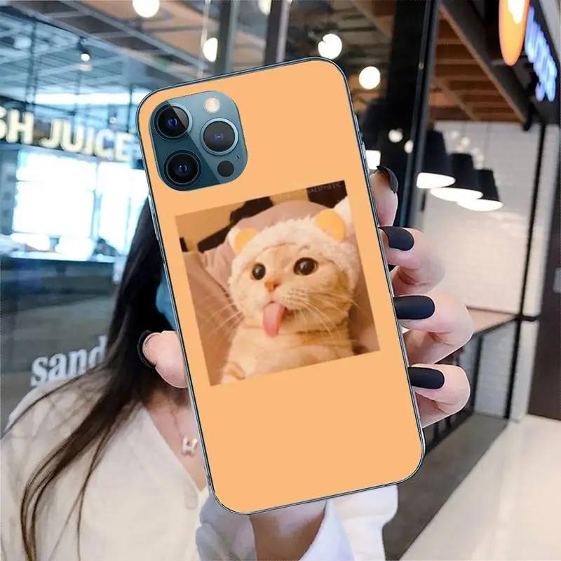 Etui na telefon komórkowy iPhone 15 Mini, urocze etui na telefon komórkowy z motywem kota, malowane, odporne na upadki i chroniące dłoń przed upadkiem.