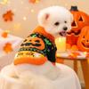 Pumpkin Pattern Pet Sweater Knitwear for Small Dog Cats Pullover Costume 2 Leg Clothes For Halloween Party Cold Weather