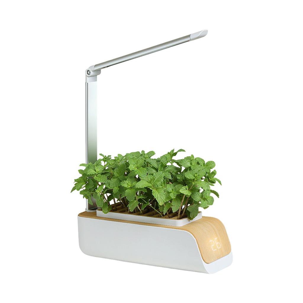Intelligent Indoor Hydroponic Gardening System With Adjustable LED Grow Light For Vegetables Herbs Soil And Water Plant