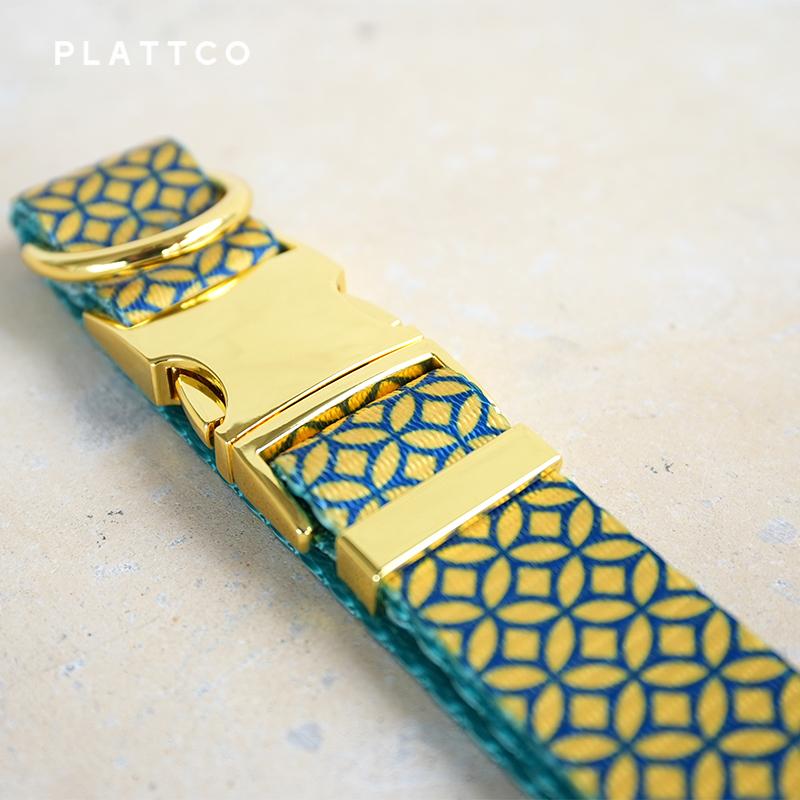 PLATTCO Unique Design Dog Collar Print WEALTHY COINS Pattern and High-quality Gold Buckle Size 5 PDC305YG