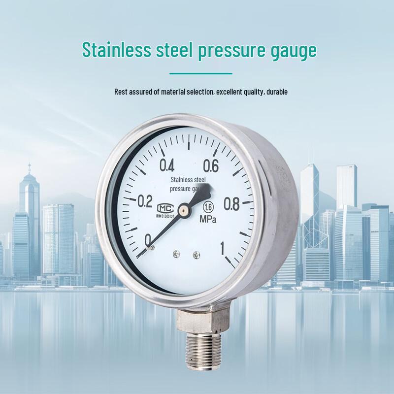 Jinglongdun Stainless Steel Pressure Gauge