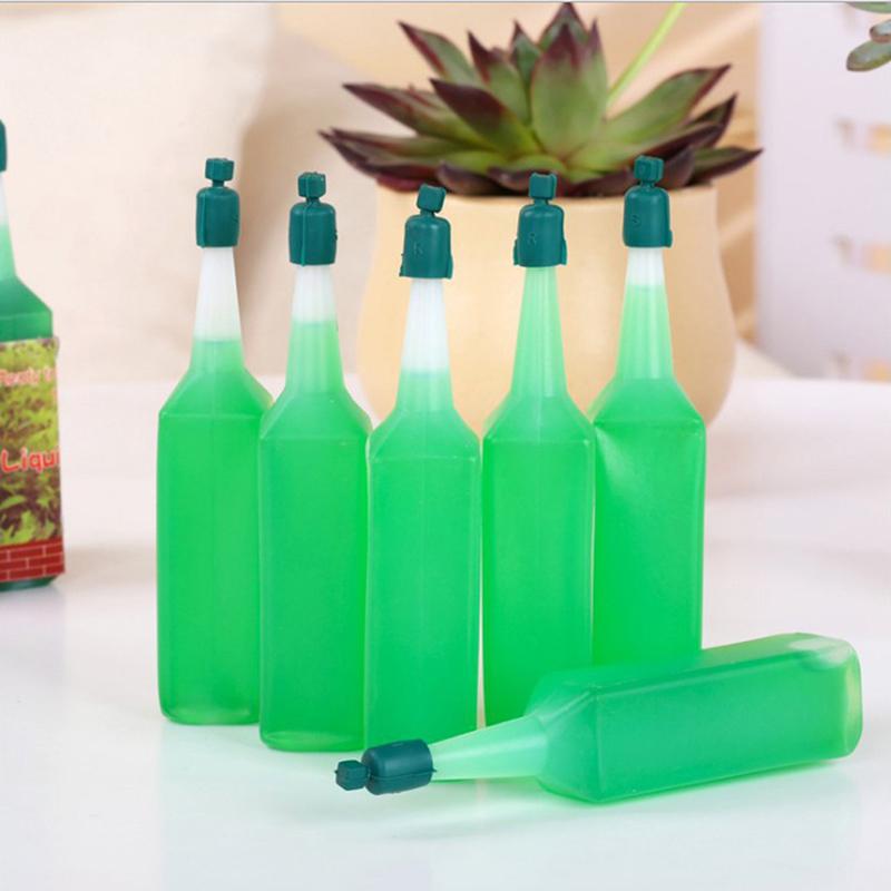 Universelle Pflanzennährlösung Flüssigdünger für Topfpflanzen Glücksbambus Geldbaum Hydrokultur Grünpflanzen