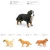 Captivating Golden Retriever Corgi And Saint Bernard Models Perfect For Pet Enthusiasts