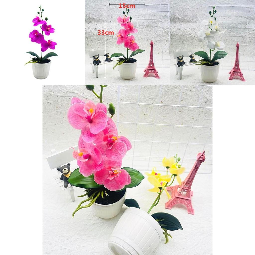 Phalaenopsis Artificial Potted Flower With Durable Material For Home Office And Gift Use