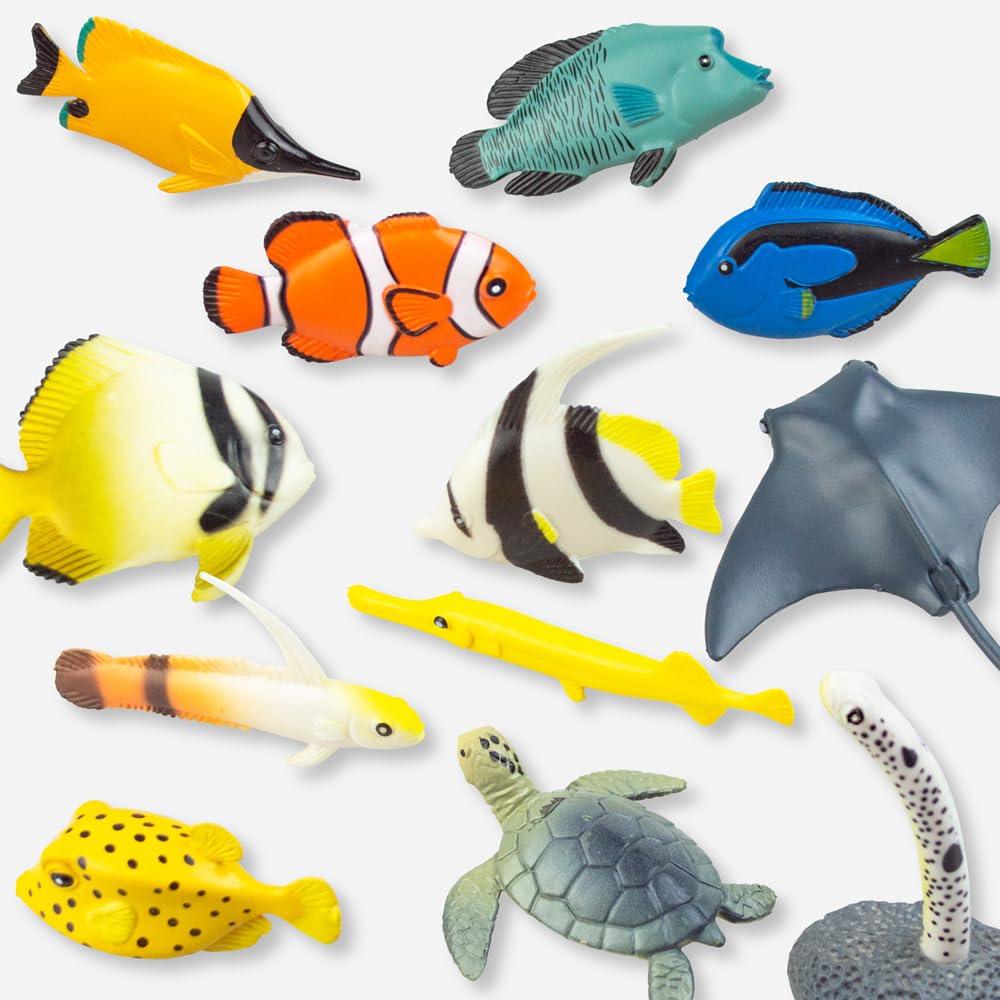 The Access Fish Figure 3D Encyclopedia Aquarium Toy 12-Type