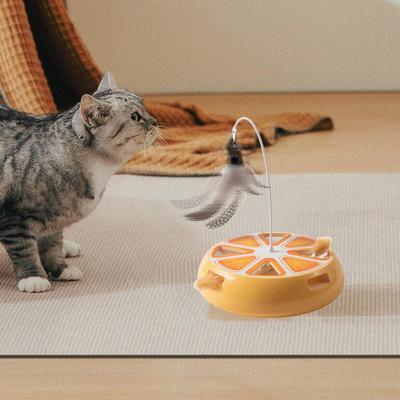 Katten – Speelgoed voor katten