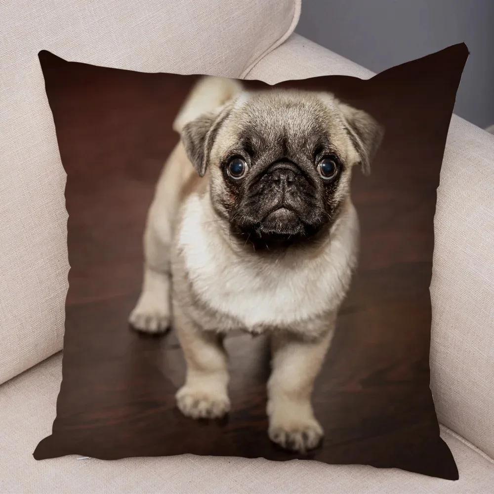 Soft and Cute Pug Series Double-sided Printed Decorative Pet Animal Pillowcases Suitable for Car Sofa Home Car Pillowcases